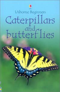 Caterpillars and Butterflies