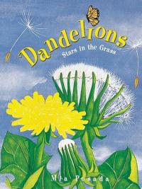 Dandelions Stars in the Grass
