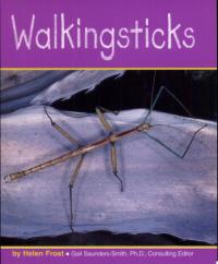 Walkingsticks