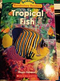 Tropical Fish