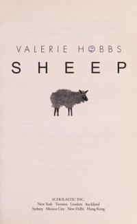 Sheep