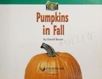Pumpkins in Fall