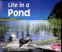 Life in a Pond