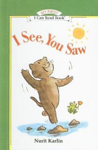 I See, You Saw