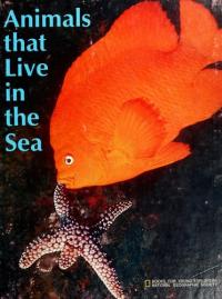 Animals that Live in the Sea