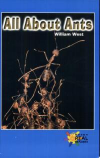 All About Ants