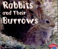 Rabbits and Their Burrows