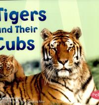 Tigers and Their Cubs