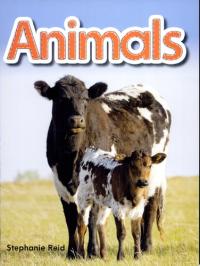 Animals