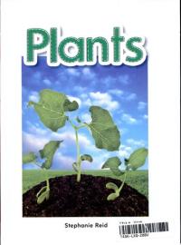 Plants
