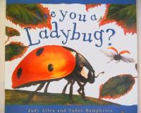 Reading Mastery - Are You a Ladybug?