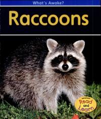 Raccoons