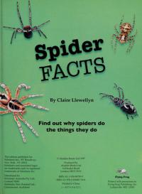 Spider Facts Find Out why Spiders Do the Things They Do