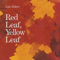 Red Leaf, Yellow Leaf