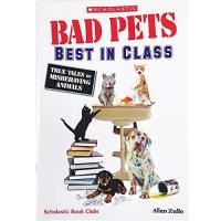 Bad Pets Best in Class