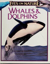 Whales & Dolphins