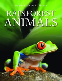 Rainforest Animals