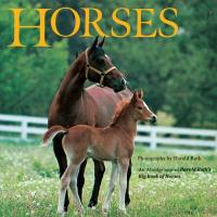 Horses An Abridgement of Harold Roth's Big Book of Horses