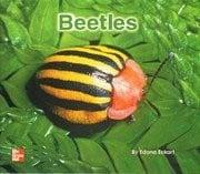 Beetles [Big Book]