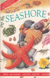 Seashore