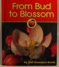 From Bud to Blossom