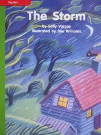 Reading Wonders Leveled Reader The Storm: Beyond Unit 6 Week 3 Grade K