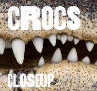 Snakes Crocs