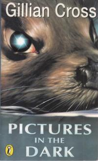 Pictures in the Dark
