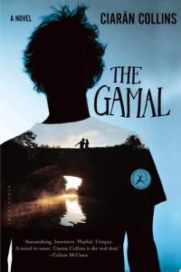 The Gamal A Novel