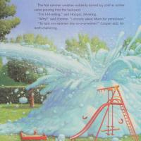 Zoomer's Summer Snowstorm
