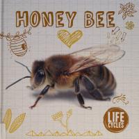 Life Cycle of a Honey Bee