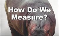 How Do We Measure?