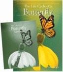 The Life of a Butterfly