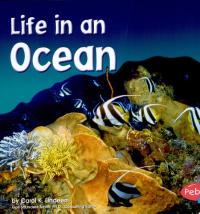 Life in an Ocean
