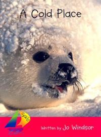 A Cold Place