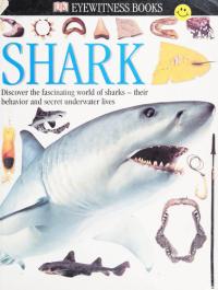 Eyewitness: Shark
