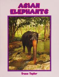 Asian Elephants