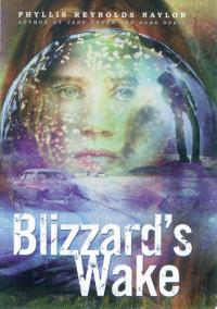 Blizzard's Wake