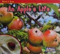 An Apple's Life