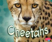Cheetahs [Scholastic]