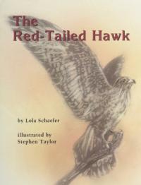 The Red-Tailed Hawk