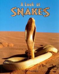 A Look at Snakes