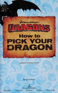 How to Pick Your Dragon