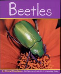 Beetles