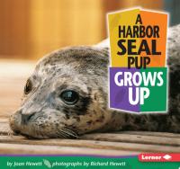 A Harbor Seal Pup Grows Up