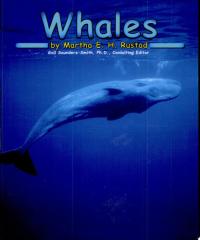 Whales