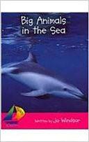 Big Animals in the Sea (Sails)