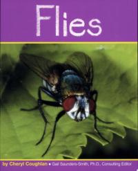 Flies