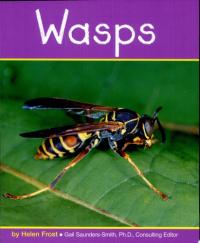 Wasps