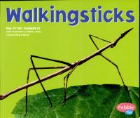 Walkingsticks
